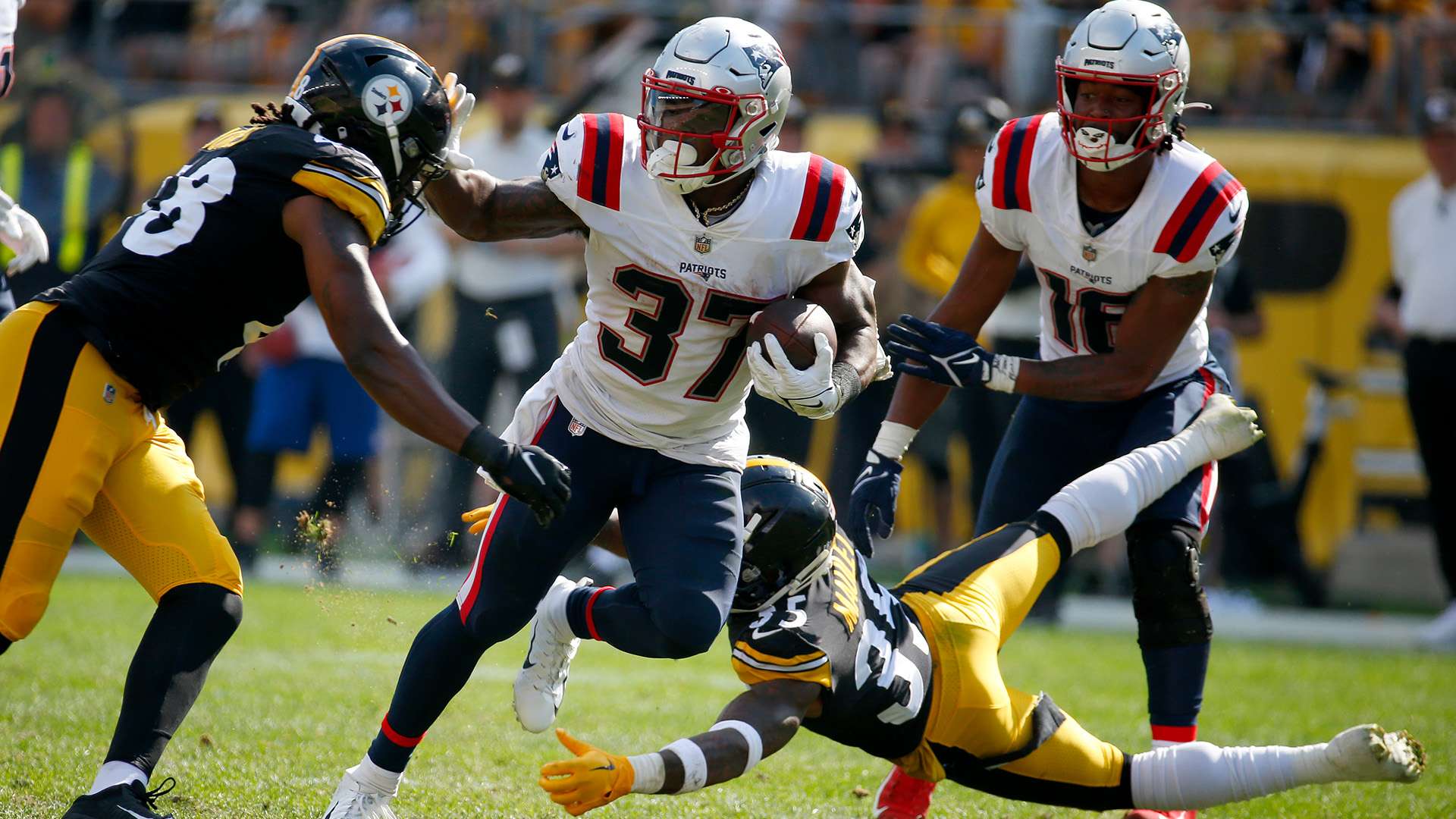 像皮诺克这 像皮诺克这